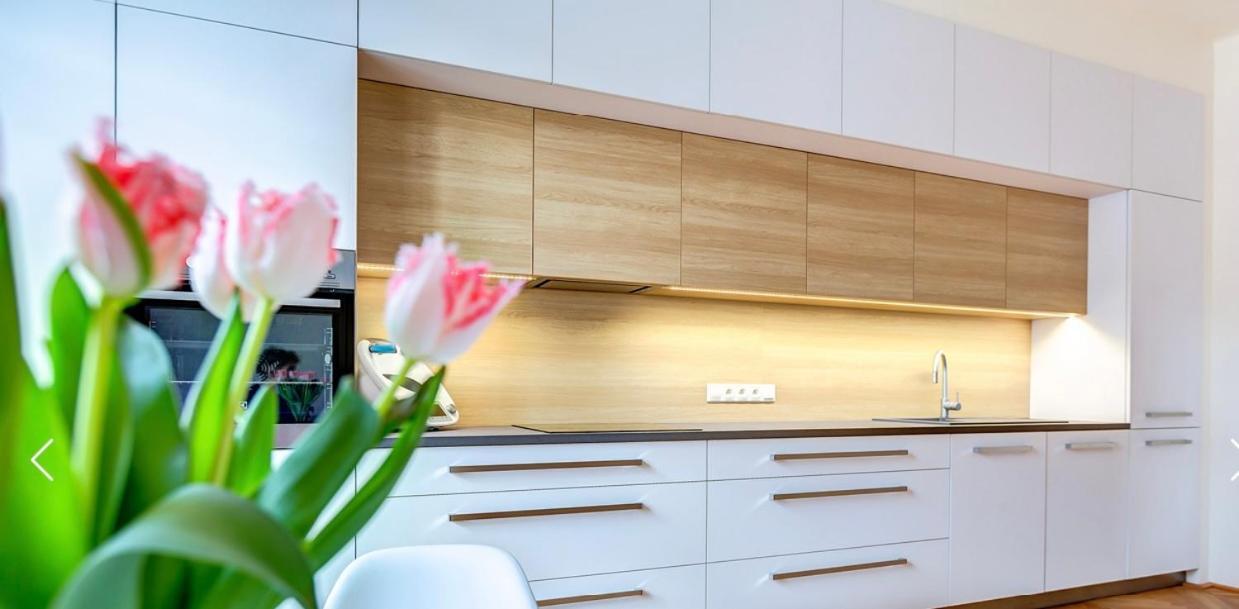 City Center Apartment Hradec Králové Dış mekan fotoğraf