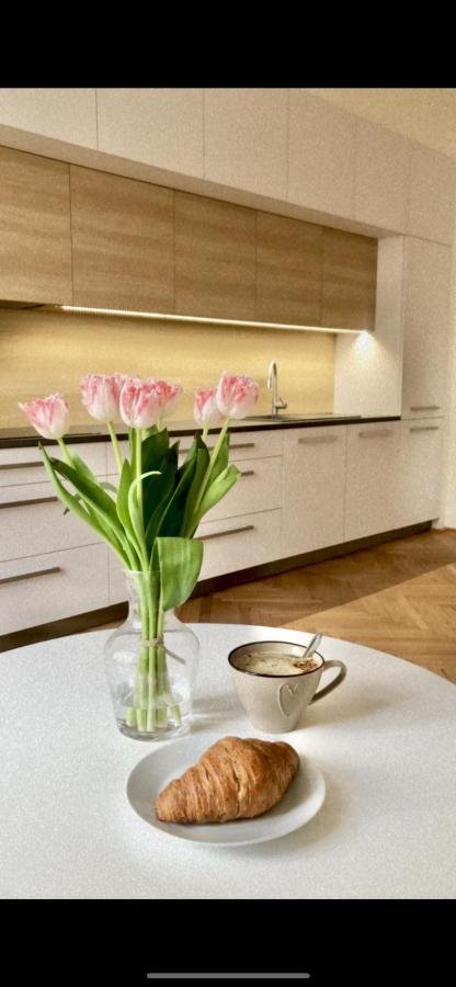 City Center Apartment Hradec Králové Dış mekan fotoğraf